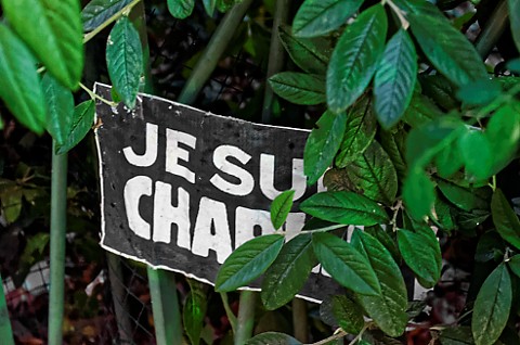 Je suis Charlie Je suis Charlie