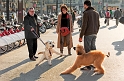 2010_01_22_AME25407