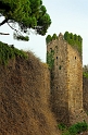 2010_01_23_AME25427