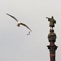 2010_01_23_AME25565