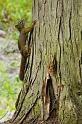 2008_07_03_AME15.305