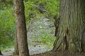2008_07_03_AME15.306