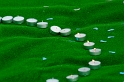 2009_05_10_AME12.391