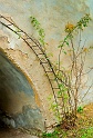2009_11_28_AME22785