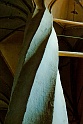 2009_11_28_AME22863