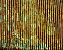 2009_11_29_AME23325