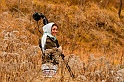 2009_12_01_AME23623