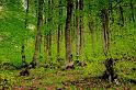 2009_05_16_AME12.811