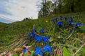 2009_05_16_AME12.816