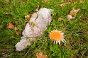 2009_05_16_AME12.826