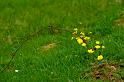 2009_05_16_AME12.857