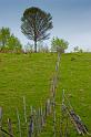 2009_05_16_AME12.868