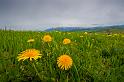 2009_05_16_AME12.872