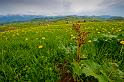 2009_05_16_AME12.874