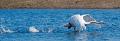 2010_03_27_AME29344