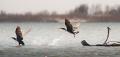 2010_03_27_AME29432