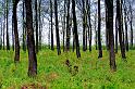 2009_04_25_AME11.766