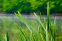 2009_04_25_AME11.782