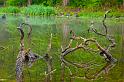 2009_04_25_AME11.787