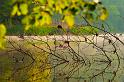 2009_04_25_AME11.819