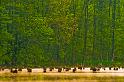 2009_04_25_AME11.820
