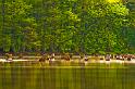 2009_04_25_AME11.821