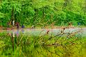 2009_04_25_AME11.824