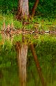 2009_04_25_AME11.828