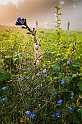 2009_08_30_AME20649