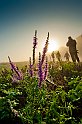 2009_08_30_AME20653