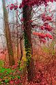 2009_11_21_AME21868