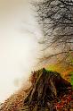 2009_11_21_AME21934