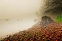 2009_11_21_AME21936