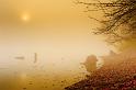2009_11_21_AME21946