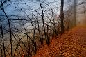 2009_11_21_AME22207